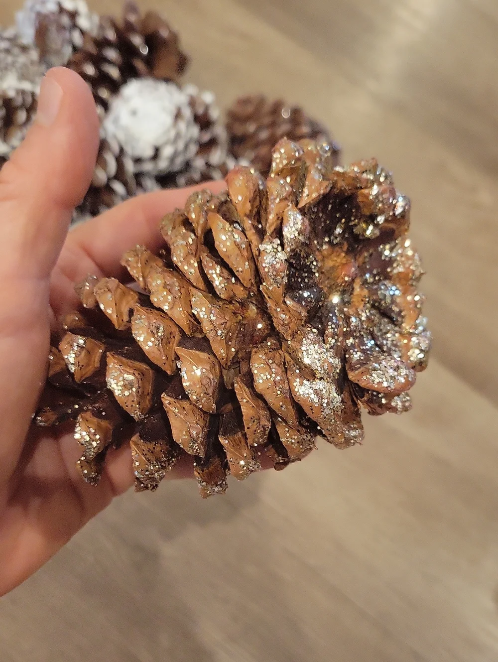 Holiday Pinecone Bundle